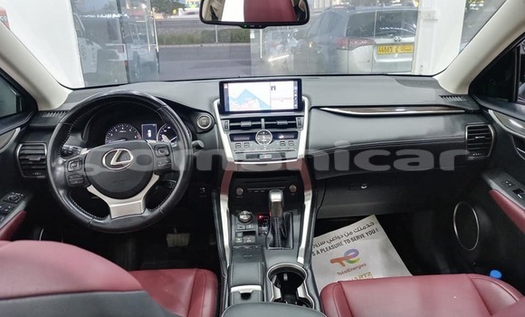 Buy Used Lexus NX White Car in ar–Rustaq in al-Batinah Buy Used Lexus NX White Car in ar–Rustaq in al-Batinah