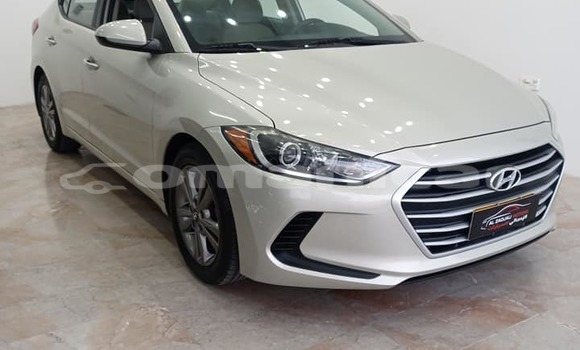 Buy Used Hyundai Elantra White Car in al–Mudaybi in ash-Sharqiyah Buy Used Hyundai Elantra White Car in al–Mudaybi in ash-Sharqiyah