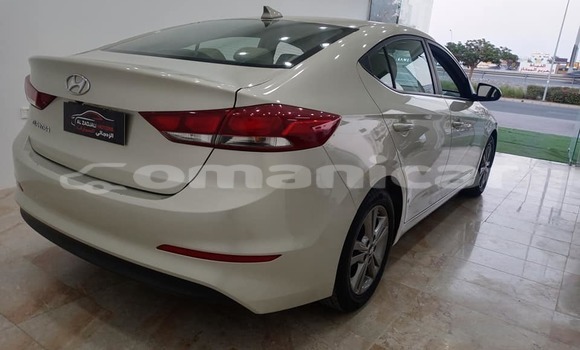 Buy Used Hyundai Elantra White Car in al–Mudaybi in ash-Sharqiyah Buy Used Hyundai Elantra White Car in al–Mudaybi in ash-Sharqiyah