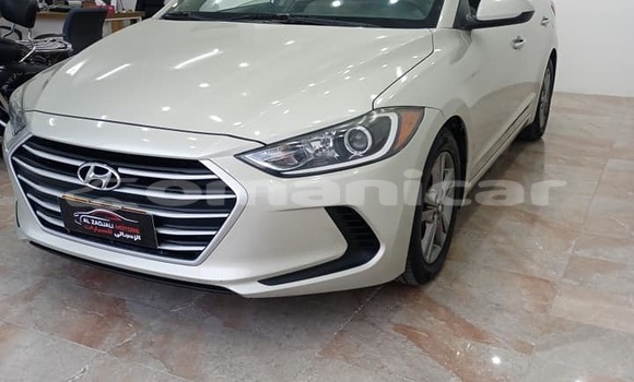 Buy Used Hyundai Elantra White Car in al–Mudaybi in ash-Sharqiyah Buy Used Hyundai Elantra White Car in al–Mudaybi in ash-Sharqiyah