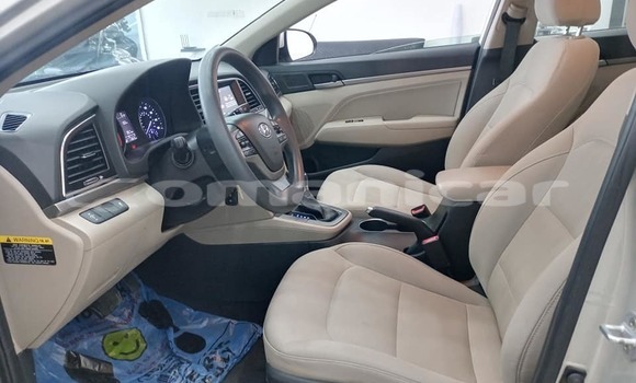Buy Used Hyundai Elantra White Car in al–Mudaybi in ash-Sharqiyah Buy Used Hyundai Elantra White Car in al–Mudaybi in ash-Sharqiyah