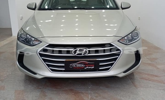 Buy Used Hyundai Elantra White Car in al–Mudaybi in ash-Sharqiyah Buy Used Hyundai Elantra White Car in al–Mudaybi in ash-Sharqiyah
