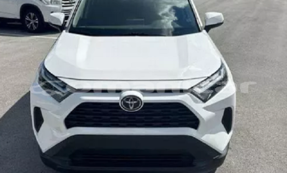 Buy Used Toyota RAV4 White Car in Salalah in Dhufar
