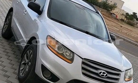 Buy Used Hyundai Grace Other Car in Ruwi in Masqat Buy Used Hyundai Grace Other Car in Ruwi in Masqat