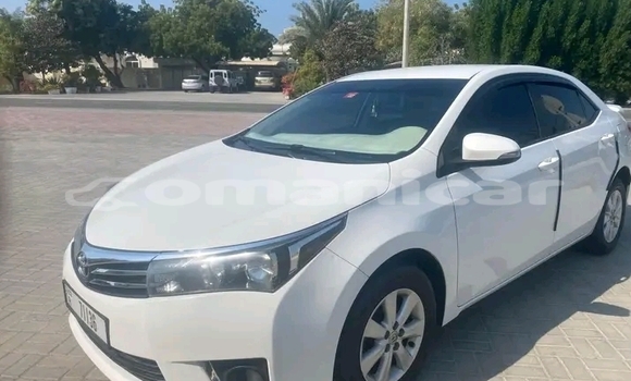 Buy Used Nissan Caravan White Car in as–Sib in Masqat Buy Used Nissan Caravan White Car in as–Sib in Masqat