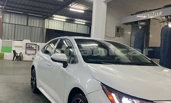 Buy Used Toyota Corolla White Car in al–Buraymi in adh-Dhahirah Buy Used Toyota Corolla White Car in al–Buraymi in adh-Dhahirah