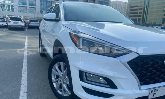 Buy Used FORD MUSTANG White Car in Sur in ash-Sharqiyah Buy Used FORD MUSTANG White Car in Sur in ash-Sharqiyah