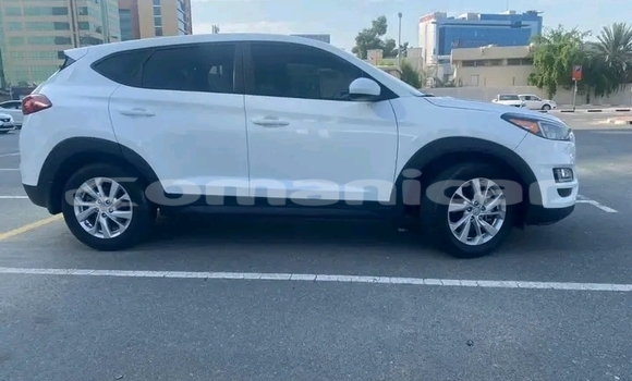 Buy Used FORD MUSTANG White Car in Sur in ash-Sharqiyah Buy Used FORD MUSTANG White Car in Sur in ash-Sharqiyah