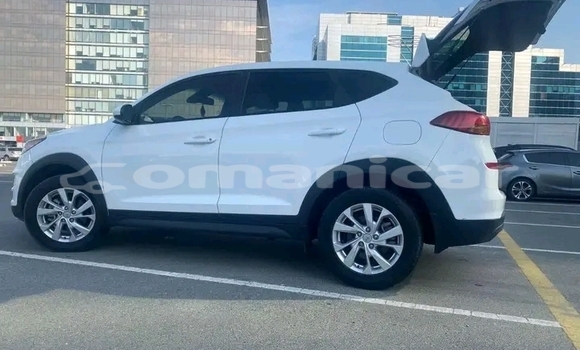 Buy Used FORD MUSTANG White Car in Sur in ash-Sharqiyah Buy Used FORD MUSTANG White Car in Sur in ash-Sharqiyah