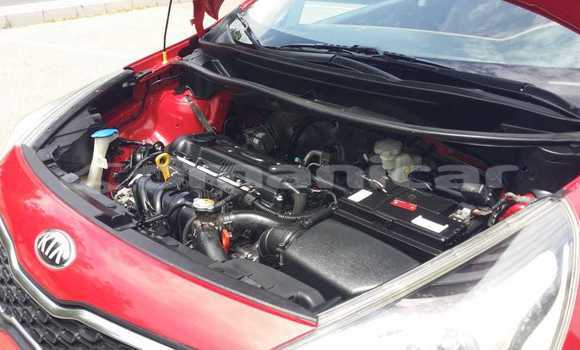 Buy Used Kia Rio Red Car in Muscat in Masqat Buy Used Kia Rio Red Car in Muscat in Masqat