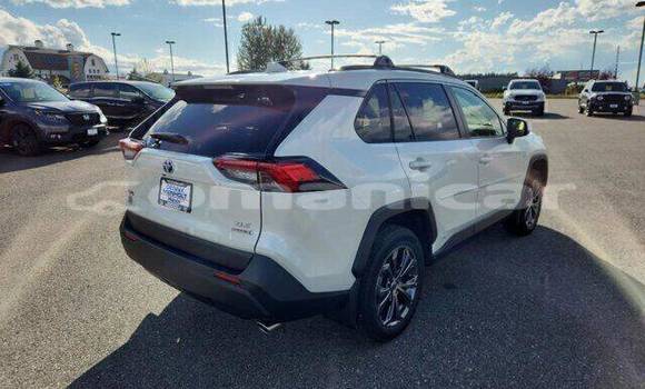 Buy Used Toyota RAV4 White Car in ar–Rustaq in al-Batinah Buy Used Toyota RAV4 White Car in ar–Rustaq in al-Batinah