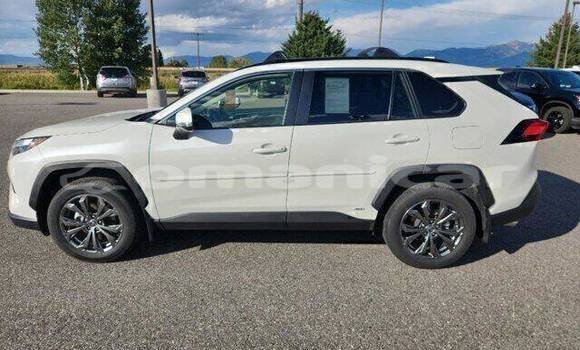 Buy Used Toyota RAV4 White Car in ar–Rustaq in al-Batinah Buy Used Toyota RAV4 White Car in ar–Rustaq in al-Batinah