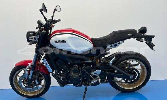 Buy Used Yamaha XSR Red Bike in Muscat in Masqat Buy Used Yamaha XSR Red Bike in Muscat in Masqat