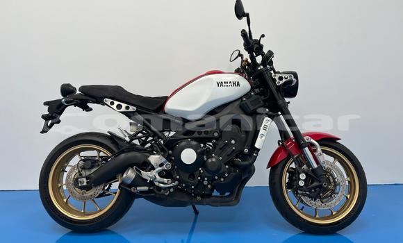 Buy Used Yamaha XSR Red Bike in Muscat in Masqat Buy Used Yamaha XSR Red Bike in Muscat in Masqat