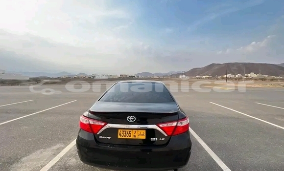 Buy Used FORD MUSTANG Other Car in Muttrah in Masqat Buy Used FORD MUSTANG Other Car in Muttrah in Masqat