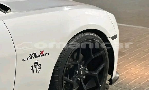 Buy Used BMW 2er White Car in as–Sib in Masqat Buy Used BMW 2er White Car in as–Sib in Masqat