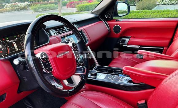 Buy Used Land Rover Range Rover Vogue White Car in as–Sib in Masqat