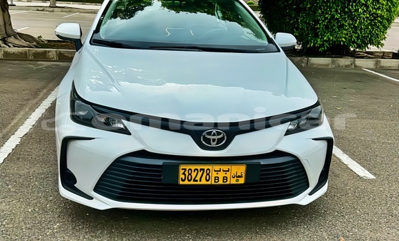 Buy Used Toyota Corolla White Car in Masqat in Masqat