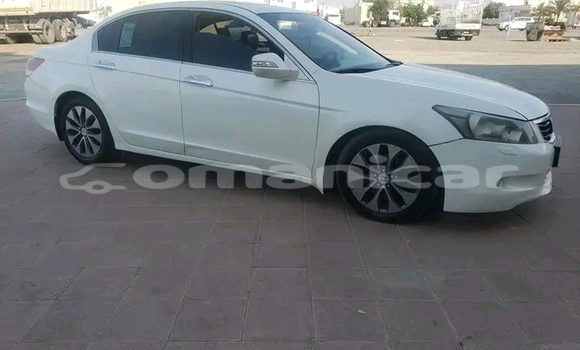 Buy Used Honda Accord White Car in al–Masna'ah in al-Batinah Buy Used Honda Accord White Car in al–Masna'ah in al-Batinah