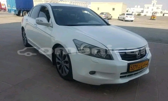 Buy Used Honda Accord White Car in al–Masna'ah in al-Batinah Buy Used Honda Accord White Car in al–Masna'ah in al-Batinah
