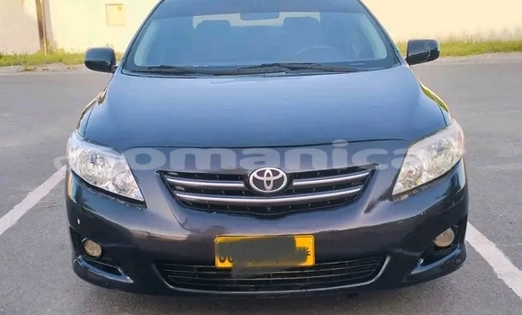 Buy Used Toyota Corolla Black Car in al–Mudaybi in ash-Sharqiyah Buy Used Toyota Corolla Black Car in al–Mudaybi in ash-Sharqiyah