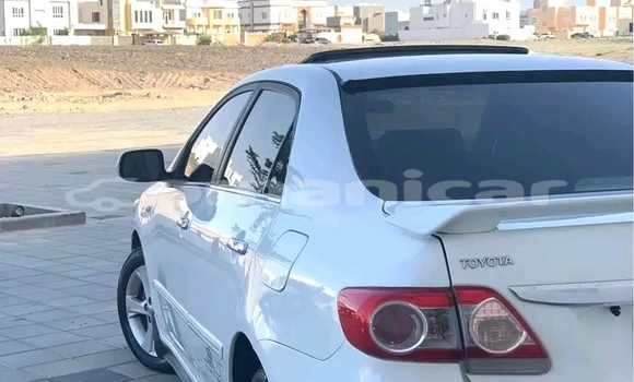Buy Used Toyota Corolla White Car in Suhar in al-Batinah Buy Used Toyota Corolla White Car in Suhar in al-Batinah