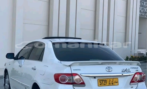 Buy Used Toyota Corolla White Car in Suhar in al-Batinah Buy Used Toyota Corolla White Car in Suhar in al-Batinah