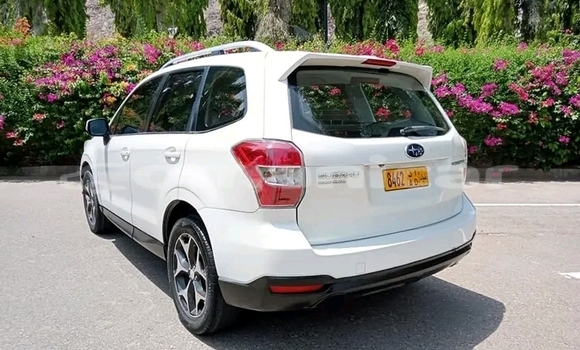 Buy Used Subaru Bighorn White Car in 'Ibri in adh-Dhahirah Buy Used Subaru Bighorn White Car in 'Ibri in adh-Dhahirah