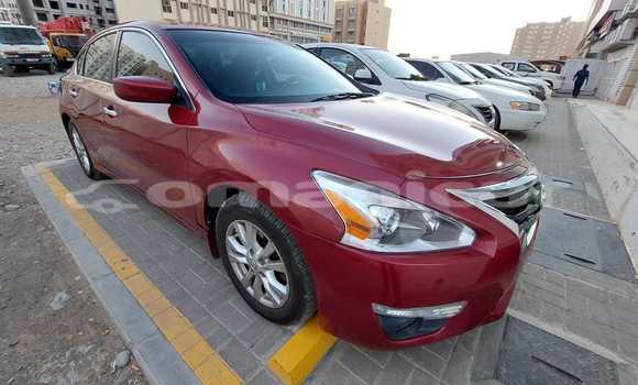Buy Used Nissan Altima Red Car in Azaiba in Masqat Buy Used Nissan Altima Red Car in Azaiba in Masqat