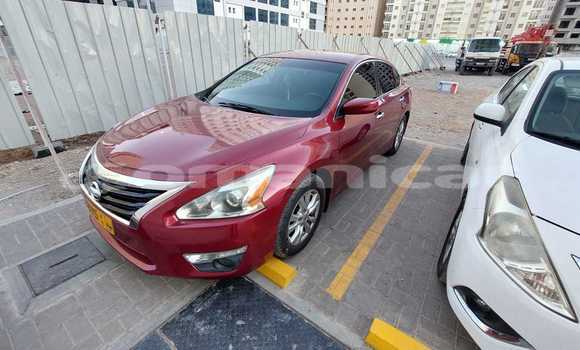 Buy Used Nissan Altima Red Car in Azaiba in Masqat Buy Used Nissan Altima Red Car in Azaiba in Masqat
