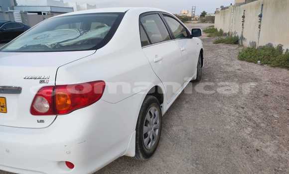 Buy Used Toyota Corolla White Car in 'Ibri in adh-Dhahirah Buy Used Toyota Corolla White Car in 'Ibri in adh-Dhahirah