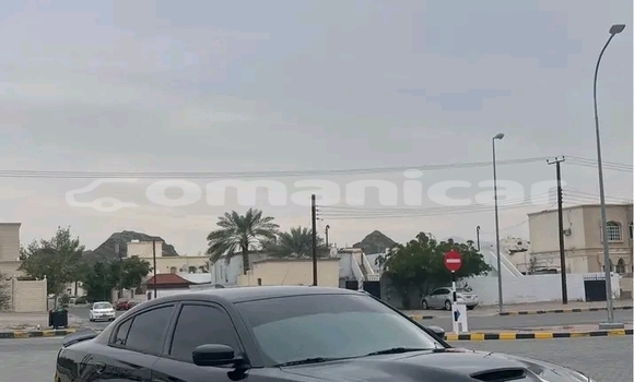 Buy Used FSO Polonez Other Car in Sur in ash-Sharqiyah Buy Used FSO Polonez Other Car in Sur in ash-Sharqiyah