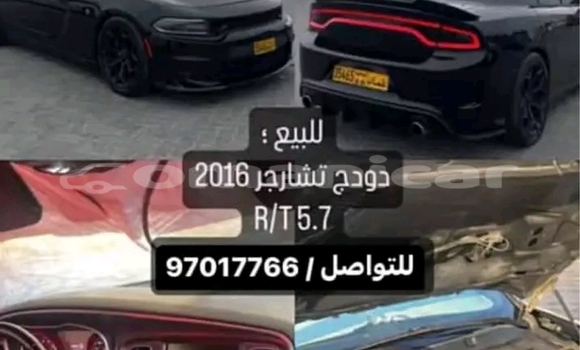 Buy Used FSO Polonez Other Car in Sur in ash-Sharqiyah Buy Used FSO Polonez Other Car in Sur in ash-Sharqiyah