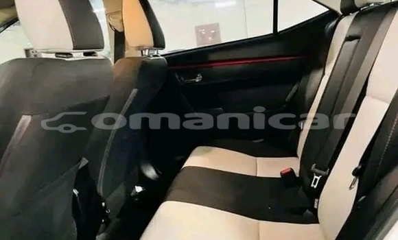 Buy Used CHTC PICK UP White Car in as–Sib in Masqat Buy Used CHTC PICK UP White Car in as–Sib in Masqat