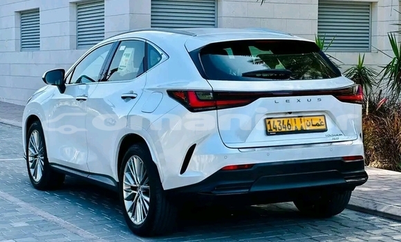 Buy Used Lexus NX White Car in as–Suwayq in al-Batinah Buy Used Lexus NX White Car in as–Suwayq in al-Batinah