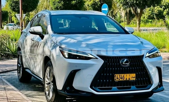 Buy Used Lexus NX White Car in as–Suwayq in al-Batinah Buy Used Lexus NX White Car in as–Suwayq in al-Batinah