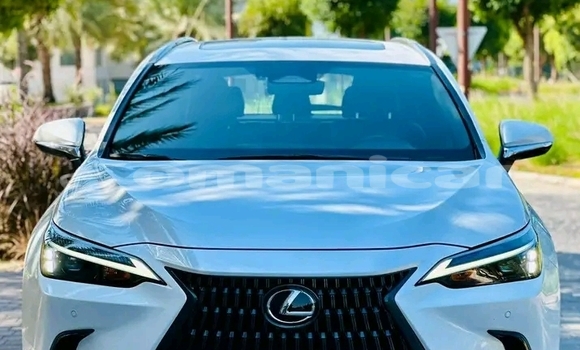 Buy Used Lexus NX White Car in as–Suwayq in al-Batinah Buy Used Lexus NX White Car in as–Suwayq in al-Batinah