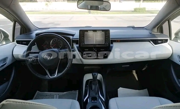 Buy Used BMW 4-Series White Car in Khasab in Musandam Buy Used BMW 4-Series White Car in Khasab in Musandam