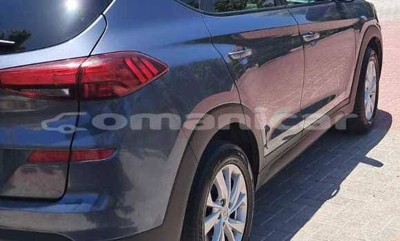 Buy Used Hyundai Tucson Silver Car in Muscat in Masqat Buy Used Hyundai Tucson Silver Car in Muscat in Masqat