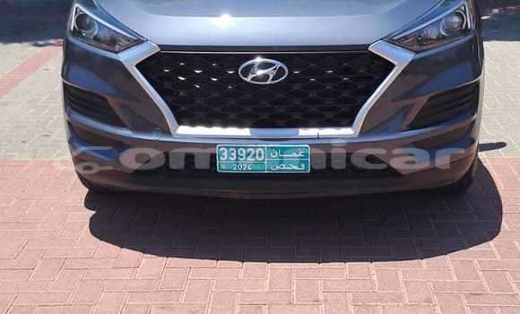 Buy Used Hyundai Tucson Silver Car in Muscat in Masqat Buy Used Hyundai Tucson Silver Car in Muscat in Masqat