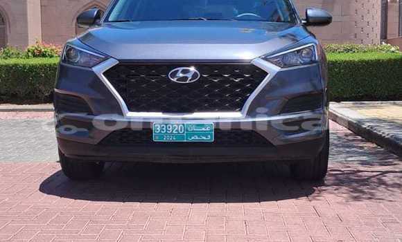 Buy Used Hyundai Tucson Silver Car in Muscat in Masqat Buy Used Hyundai Tucson Silver Car in Muscat in Masqat