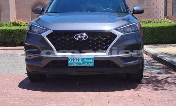 Buy Used Hyundai Tucson Silver Car in Muscat in Masqat Buy Used Hyundai Tucson Silver Car in Muscat in Masqat
