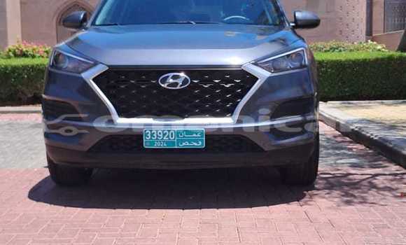 Buy Used Hyundai Tucson Silver Car in Muscat in Masqat Buy Used Hyundai Tucson Silver Car in Muscat in Masqat
