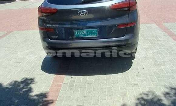 Buy Used Hyundai Tucson Silver Car in Muscat in Masqat Buy Used Hyundai Tucson Silver Car in Muscat in Masqat