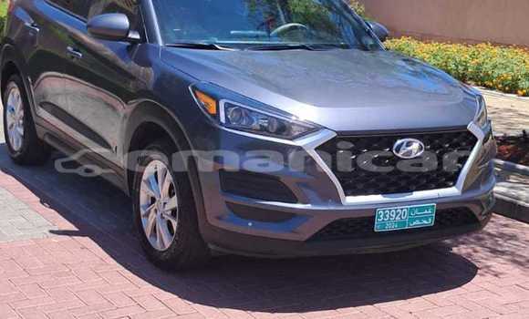 Buy Used Hyundai Tucson Silver Car in Muscat in Masqat Buy Used Hyundai Tucson Silver Car in Muscat in Masqat