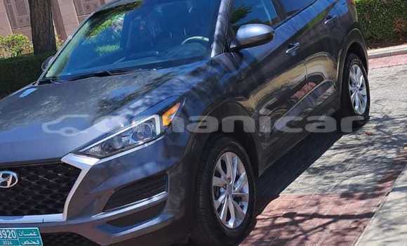 Buy Used Hyundai Tucson Silver Car in Muscat in Masqat Buy Used Hyundai Tucson Silver Car in Muscat in Masqat