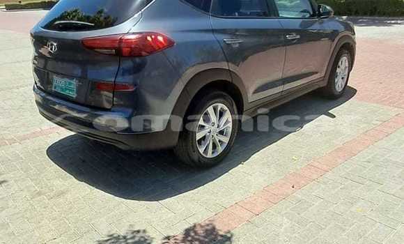 Buy Used Hyundai Tucson Silver Car in Muscat in Masqat Buy Used Hyundai Tucson Silver Car in Muscat in Masqat