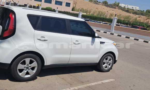 Buy Used Kia Soul White Car in Muscat in Masqat Buy Used Kia Soul White Car in Muscat in Masqat