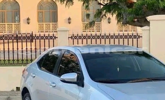 Buy Used Toyota Corolla Other Car in as–Sib in Masqat Buy Used Toyota Corolla Other Car in as–Sib in Masqat