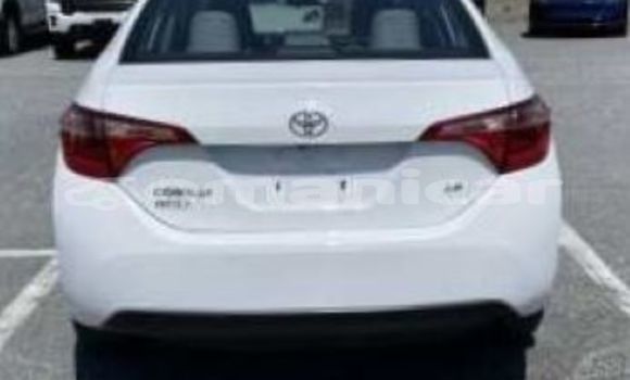 Buy Used Toyota Corolla White Car in as–Sib in Masqat